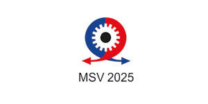 MSV